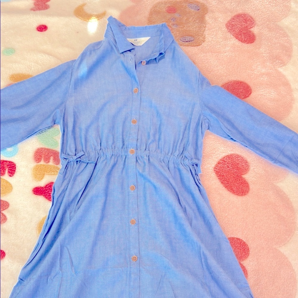 Blue Button-Up Dress